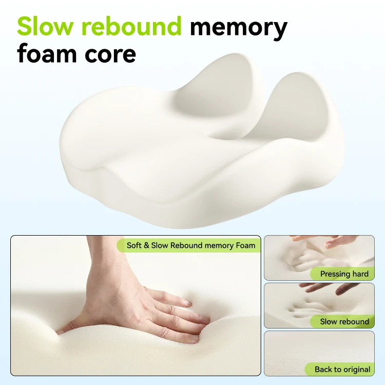 NEXA Lumina™ Support